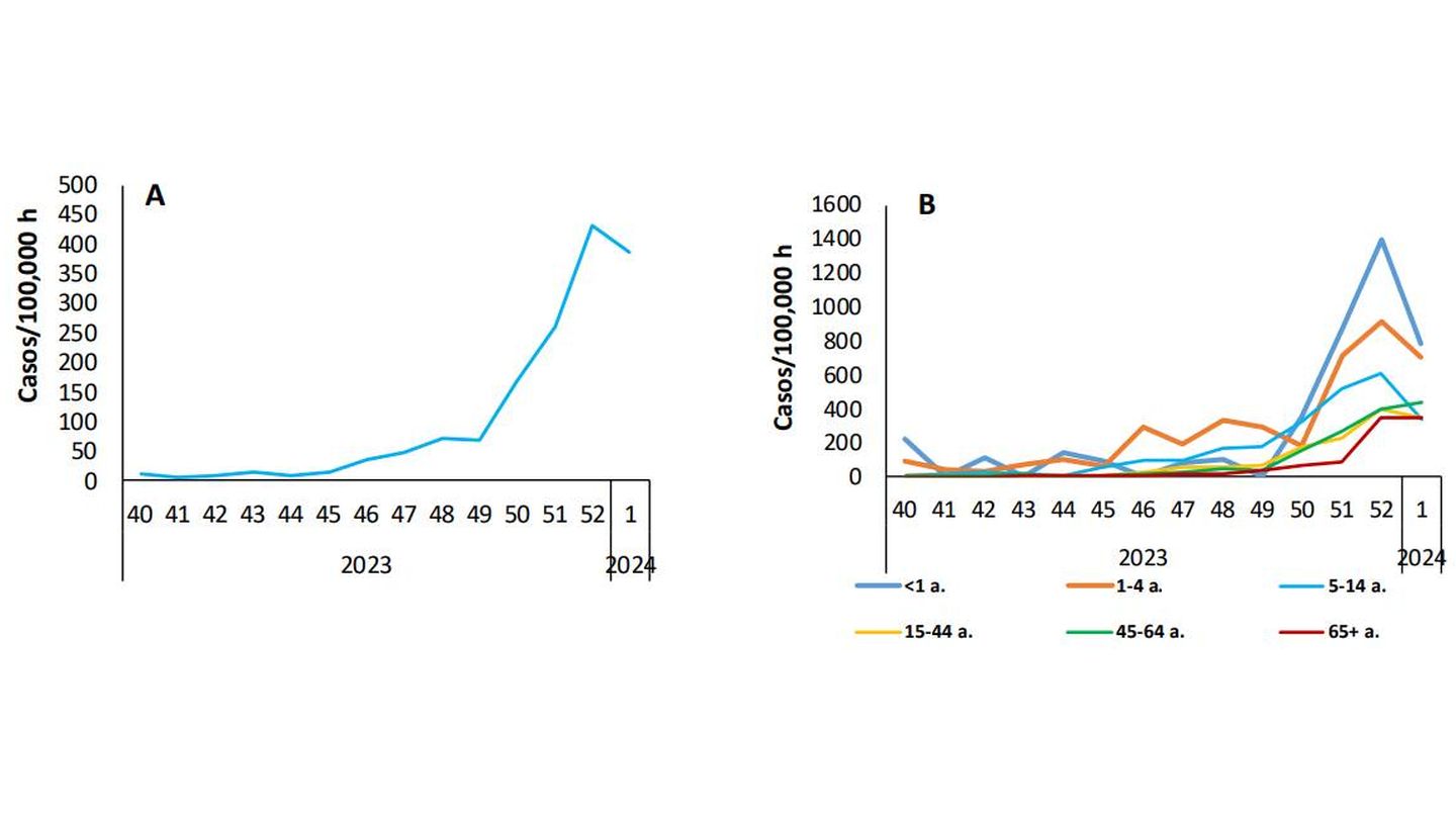 Tasa estimada de gripe global (A) y por grupos de edad (B) temporada 2023-24. (Sivira)