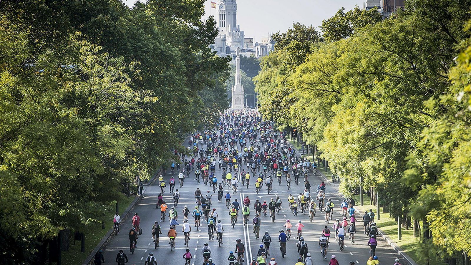Foto: Ciudades como Madrid acogen cada día a más aficionados al ciclismo (EFE)