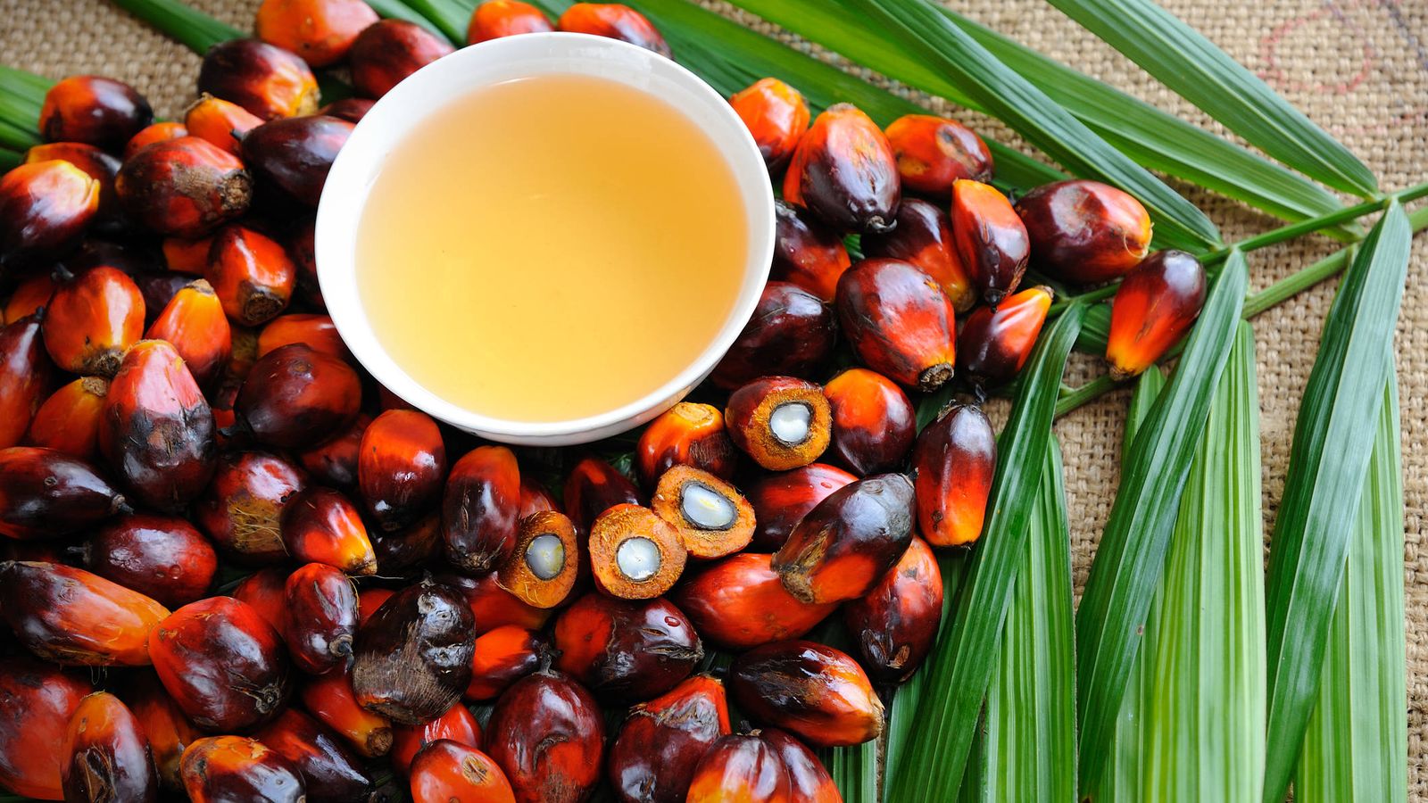 Foto: Los frutos de los que surge el odiado aceite de palma. (iStock)