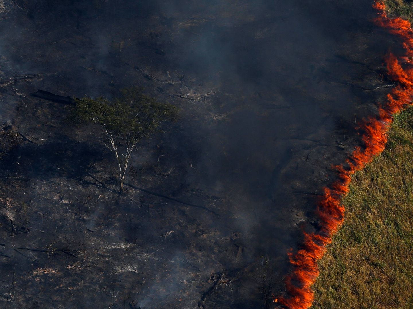 Las llamas avanzan en un bosque tropical durante una operación contra la tala ilegal en el estado de Amazonas, Brasil. (Reuters)