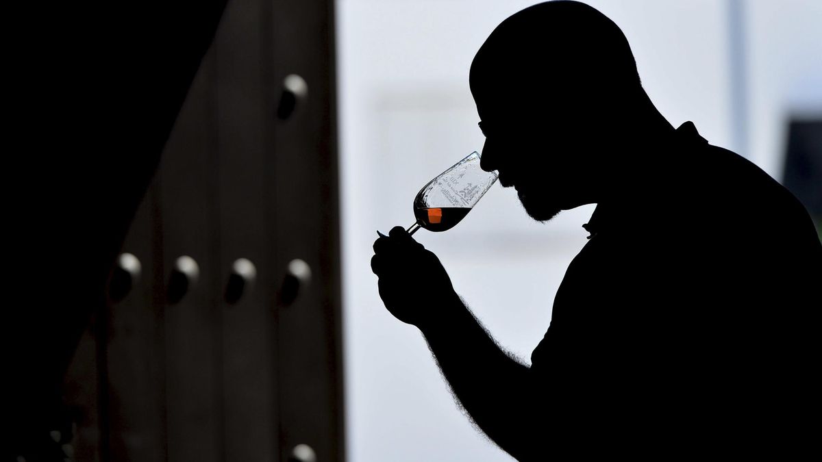 Demuestran que el vino contiene probióticos beneficiosos para la salud