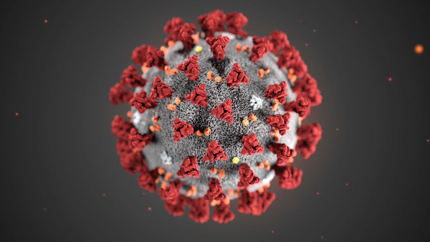 Ilustración del coronavirus, realizada por el Center for Disease Control and Prevention de Atlanta, Estados Unidos. (EFE)