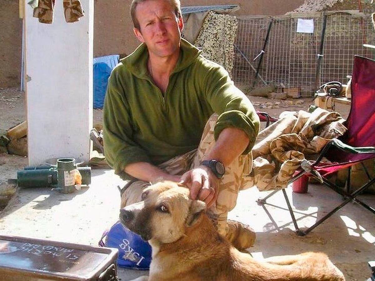 Foto: Paul Farthing con uno de los perros rescatados por su ONG (Nowzad)
