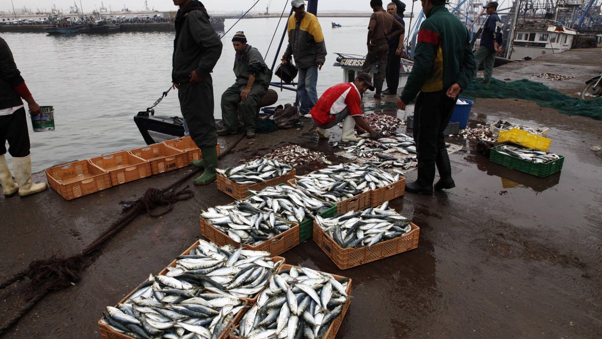 La justicia de la UE puede anular el acuerdo pesquero con Marruecos por el Sáhara