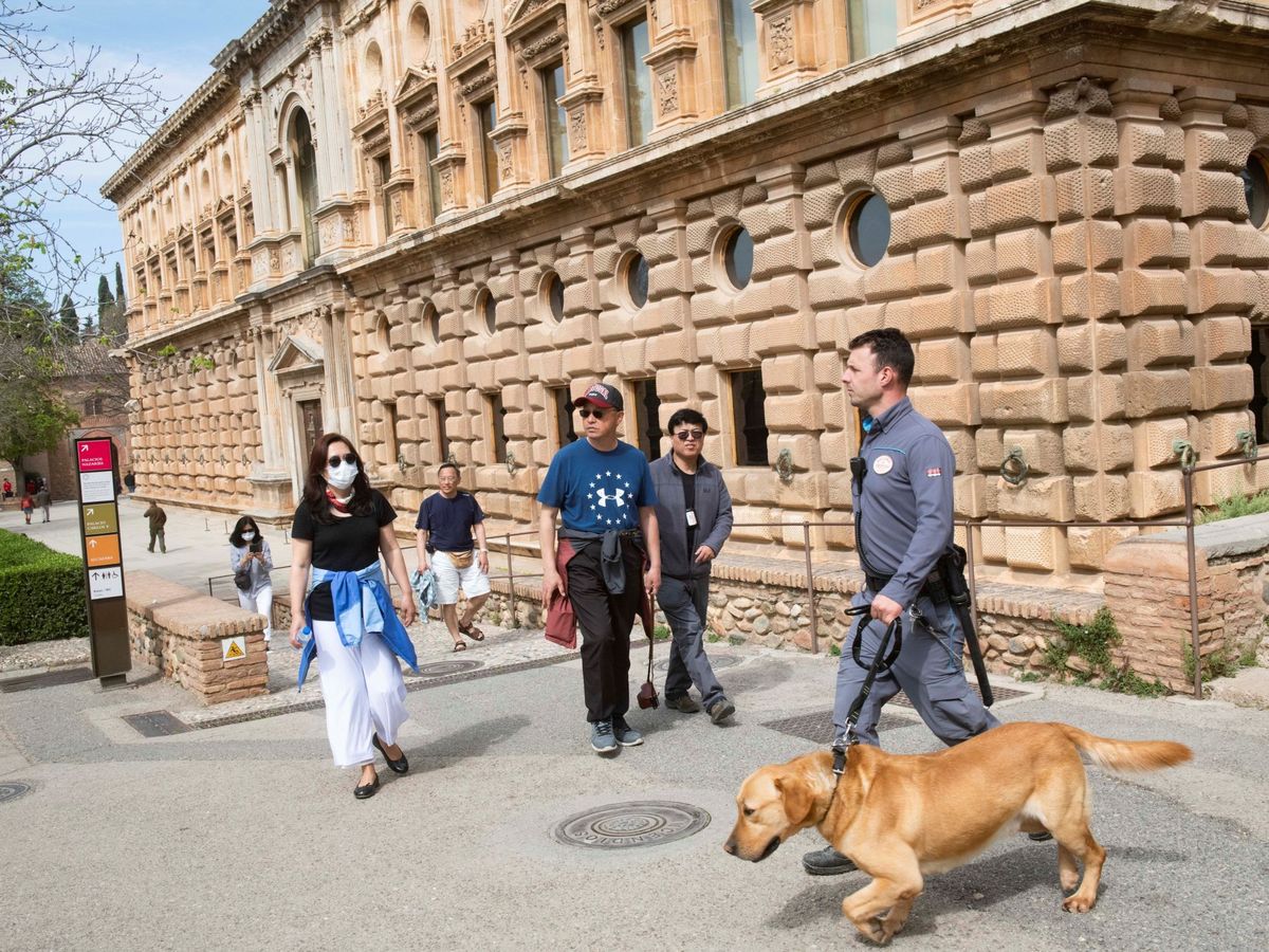 Foto: Turistas junto al Palacio de Carlos V, en el entorno de la Alhambra de Granada. (EFE/Miguel Ángel Molina)