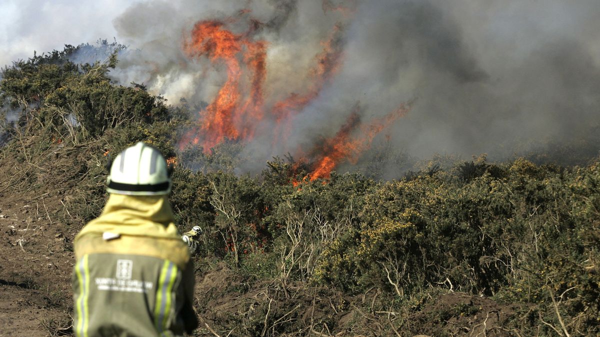 Matemáticas y sensores contra el fuego: la idea española para detectar incendios