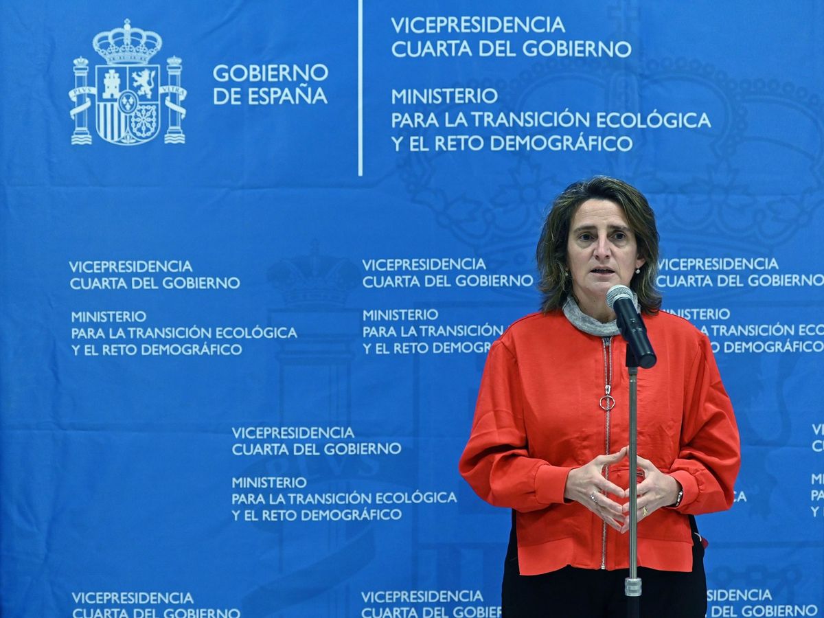 Foto: La ministra de Transición Ecológica, Teresa Ribera. (EFE)