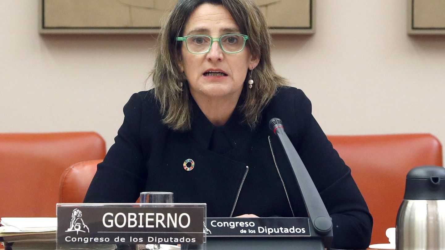 La ministra de Transición Ecológica y Reto Demográfico, Teresa Ribera. EFE J.J. Guillén