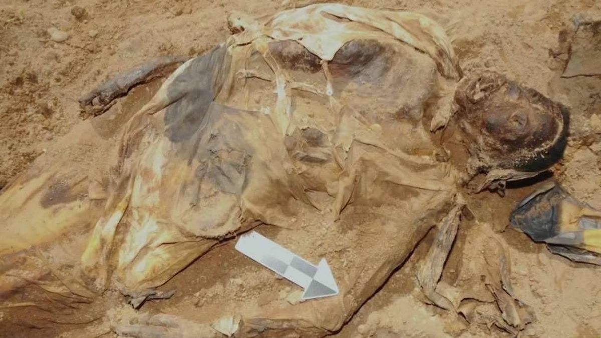 Quién era la mujer del ataúd de hierro, la momia mejor conservada de Nueva York