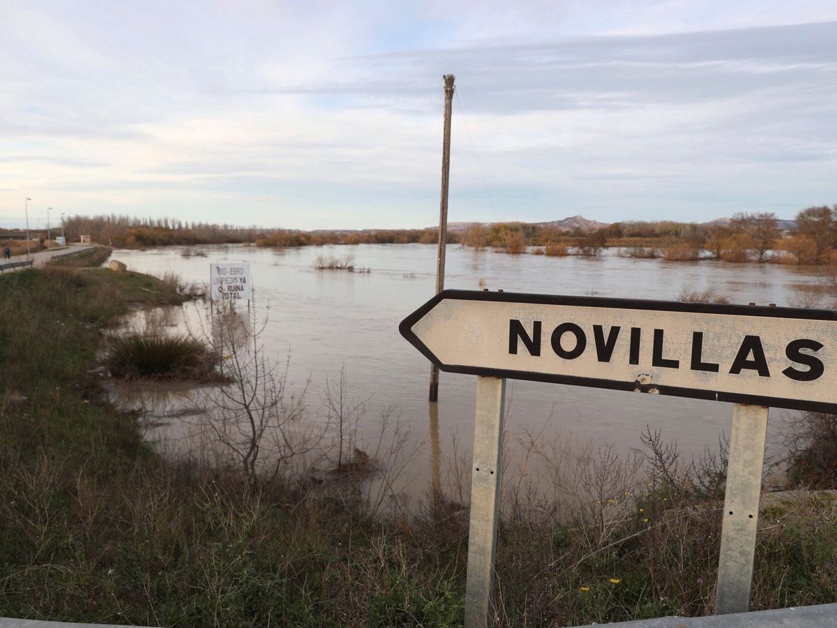 Foto: Vista de la crecida del río Ebro a su paso por la localidad zaragozana de Novillas. (EFE)