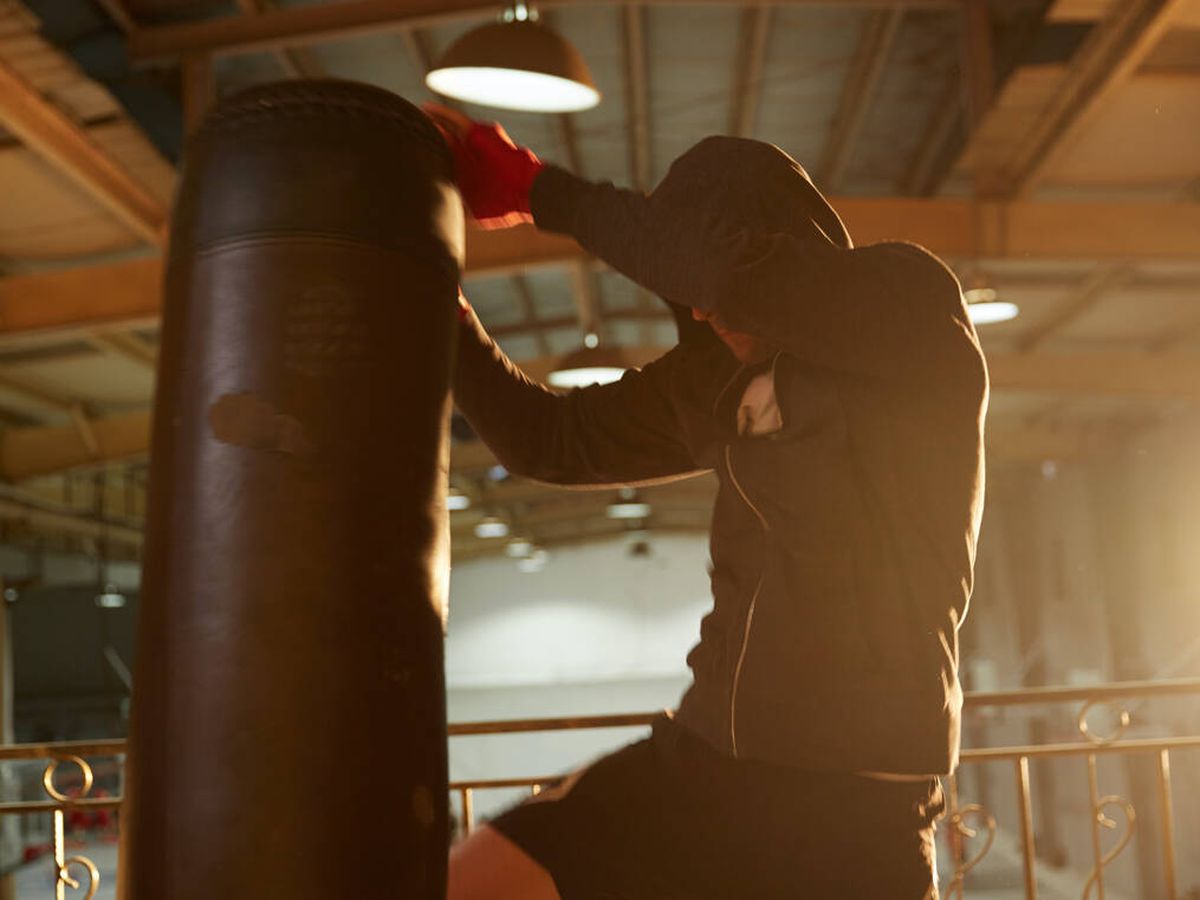 Gallina metodología frente Los mejores sacos de boxeo para entrenar en casa