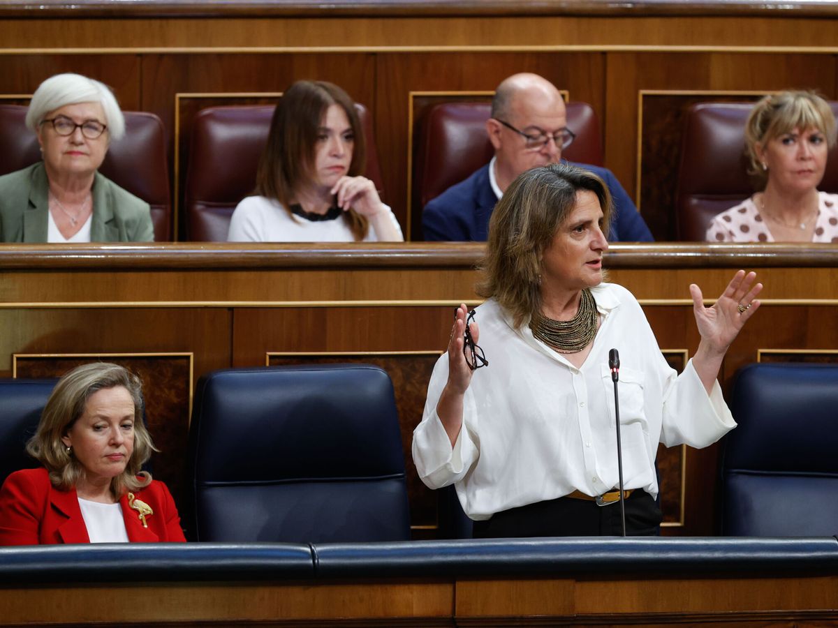 Foto: Teresa Ribera, en el Congreso de los Diputados. (EFE / Javier Lizón)