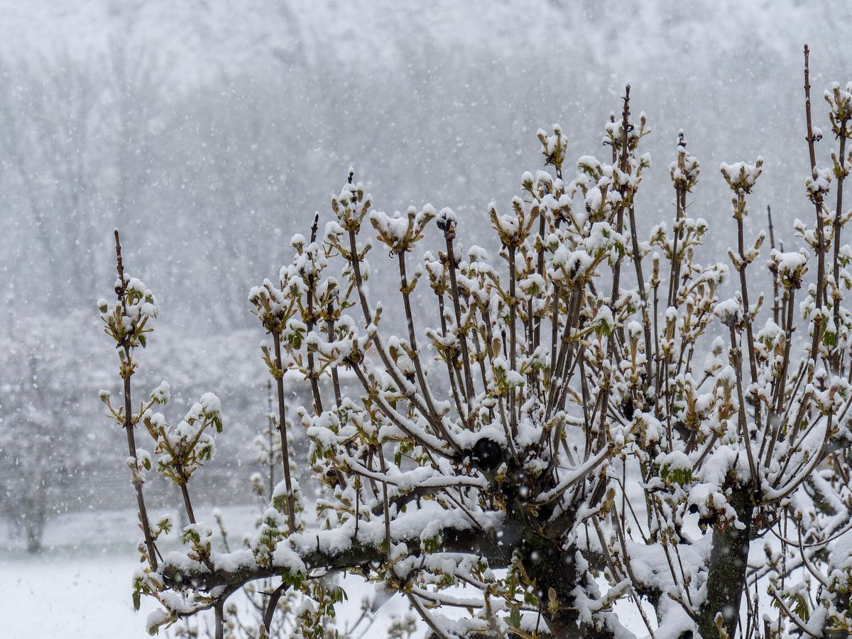 Foto: Esta semana habrá nieve en varias zonas de España (EFE/Antonio Garcia)