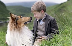 Lassie, un perro para salvar las cuentas de Dreamworks 