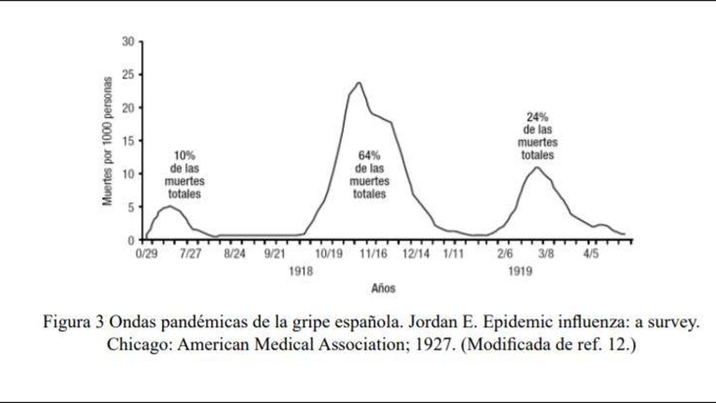 Fuente: 'La pandemia de gripe española vista desde el siglo XXI', de Raúl Ortiz de Lejarazu.