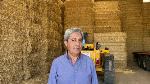 El 'San Isidro' del siglo XXI: Vendo la cebada al mismo precio que lo hacía mi padre