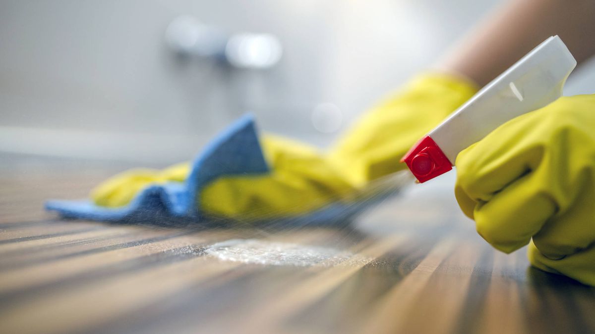 Productos de higiene para desinfectar y limpiar bien toda la casa