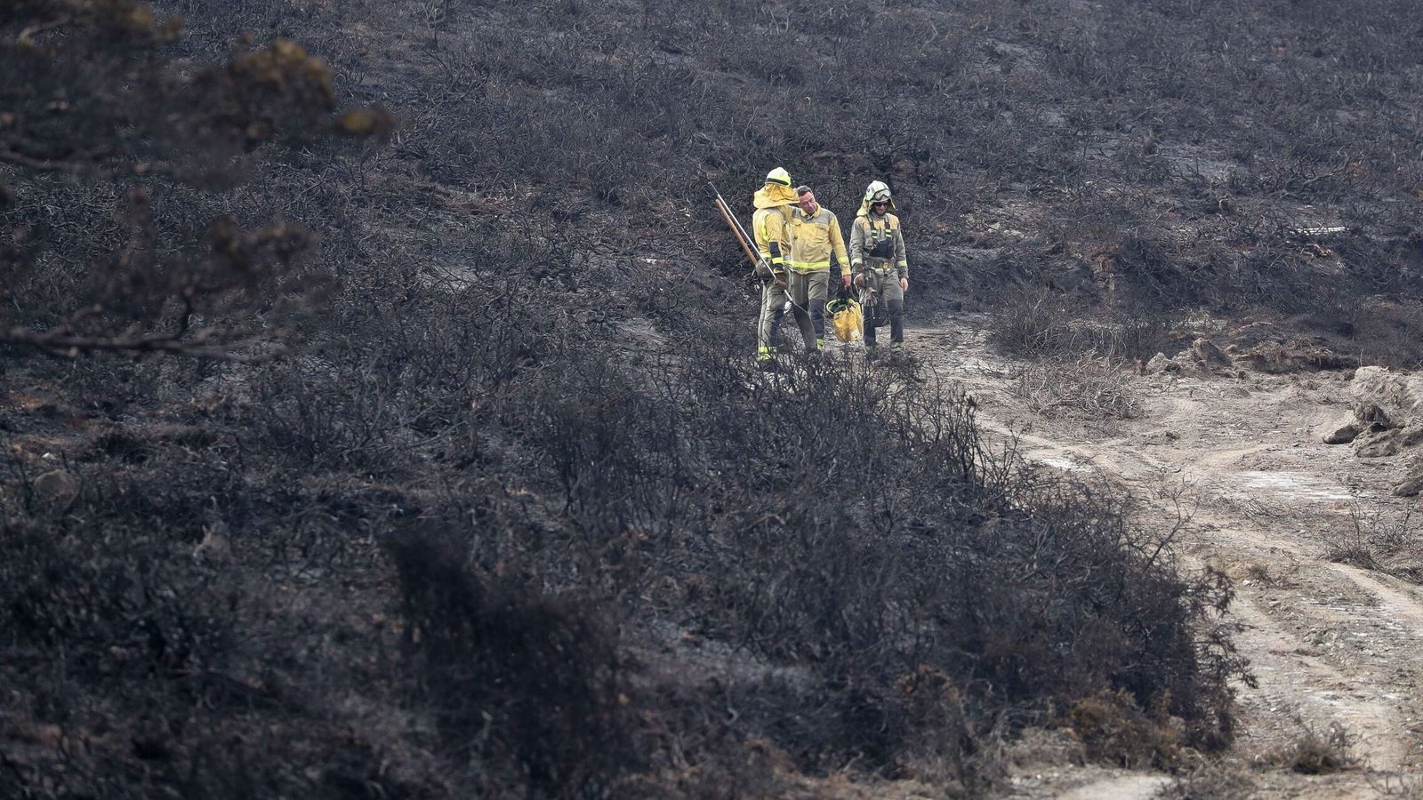 Los bomberos dan por extinguido el incendio forestal declarado en El Almendro (Huelva)