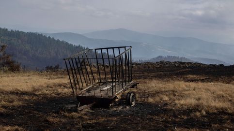 Incendios en España, en directo: El incendio de Ateca calcina más de 5.600 hectáreas mientras el fuego arrasa 60.000 en total en España 