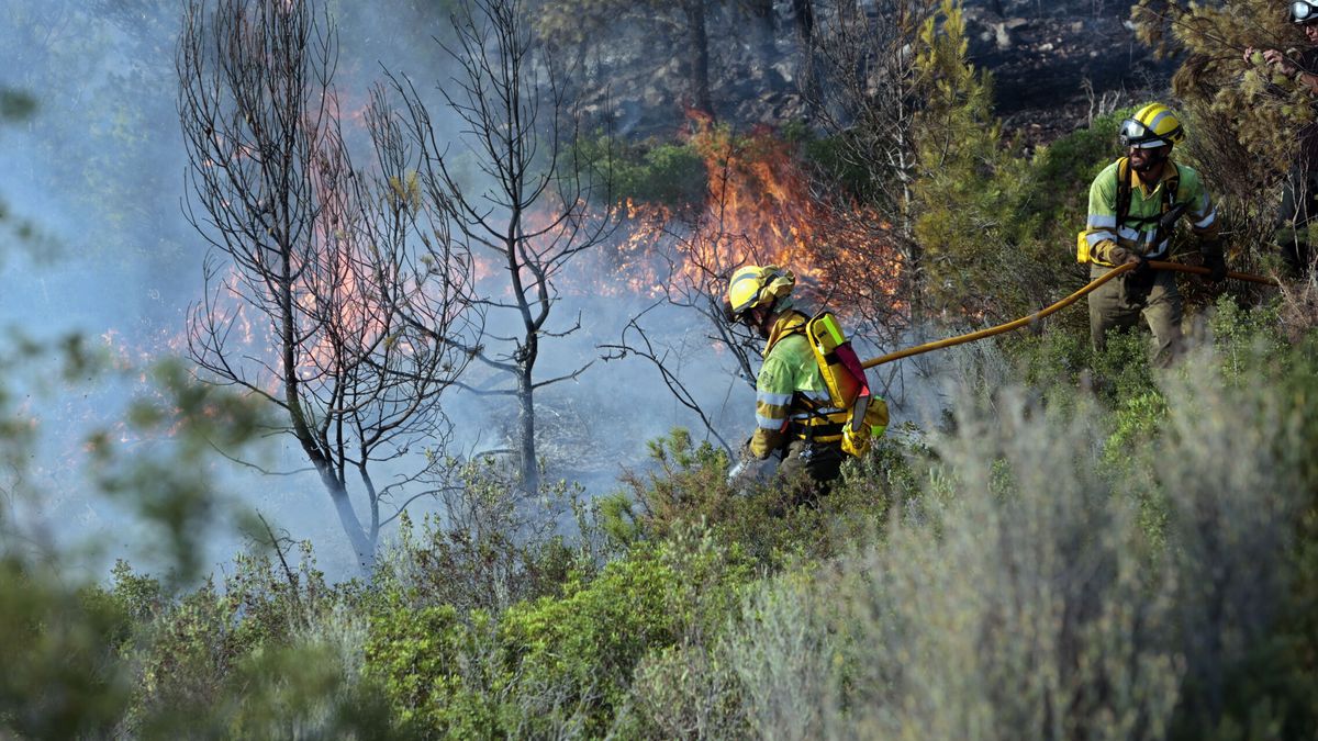 La Fundación Artemisan pide la recuperación de políticas forestales para prevenir incendios