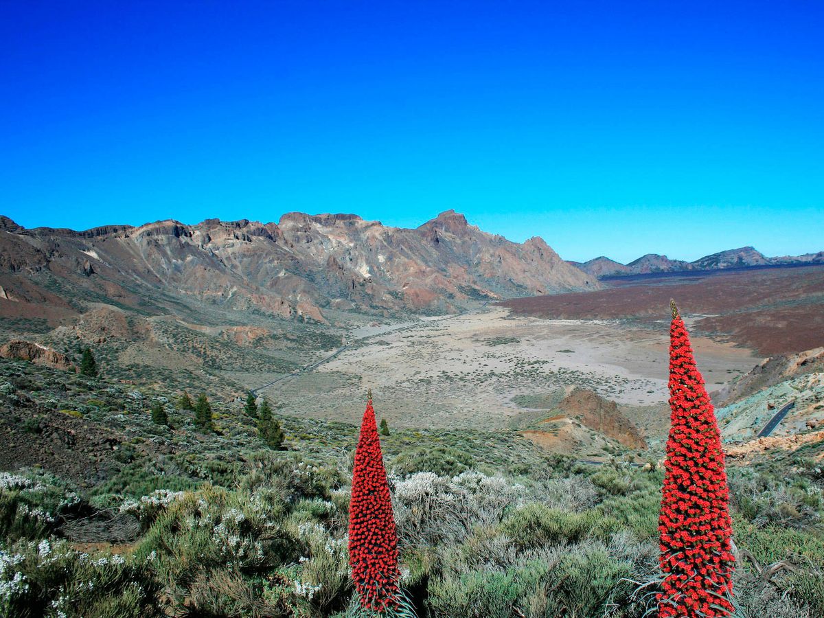 Foto: Parque Nacional del Teide, en Tenerife (Pixabay)