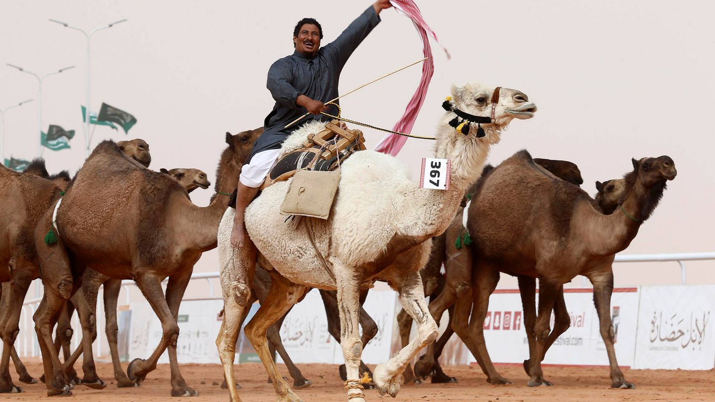 Un participante del King Abdulaziz Camel Festival (Reuters)