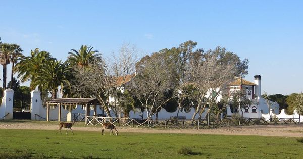 Foto: El Palacio de las Marismillas, en Doñana. (CC/Wikimedia Commons)