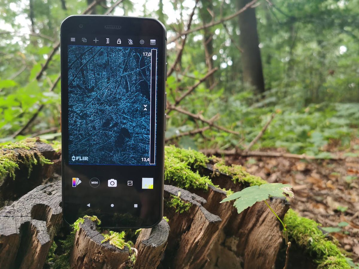 Foto: Una cámara térmica no te ayudará mucho a orientarte en el bosque.
