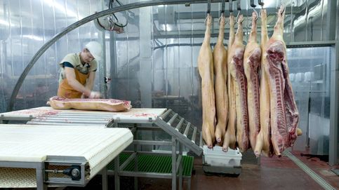 Cámaras de seguridad en los mataderos: la industria cárnica, vigilada