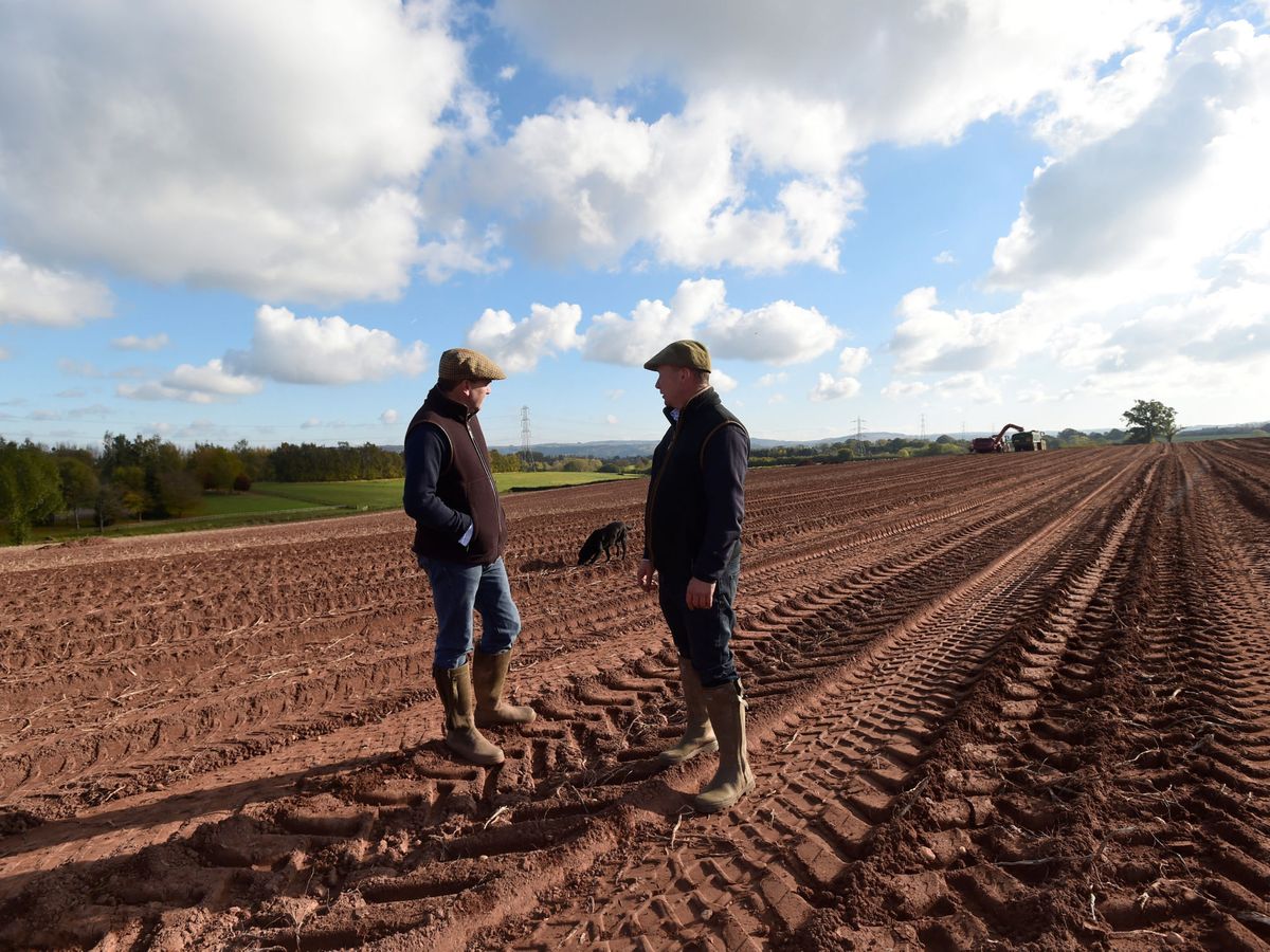 Foto: Dos granjeros en Peterstow, Ross-on-Wye, Reino Unido. (Reuters/Rebecca Naden)