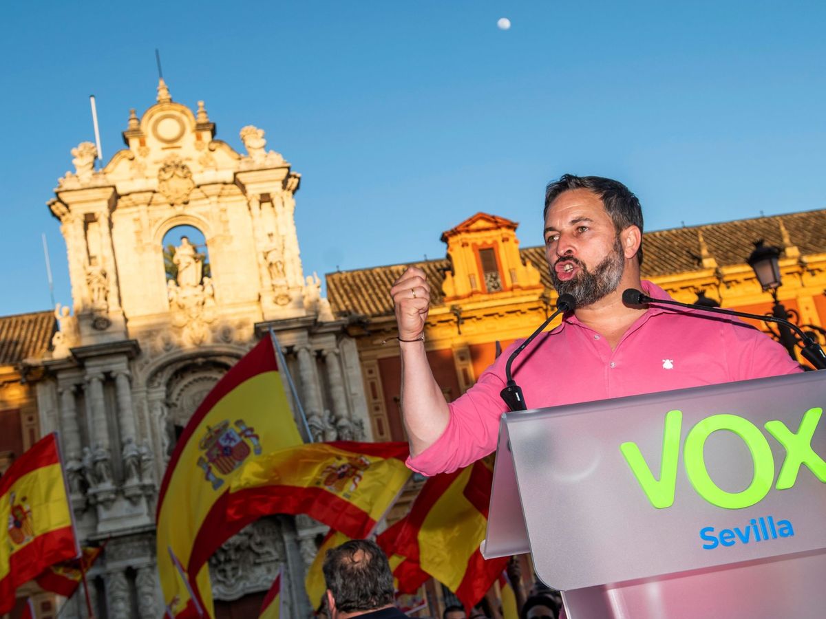 Foto: El presidente de Vox, Santiago Abascal, en un acto en Sevilla. (EFE)