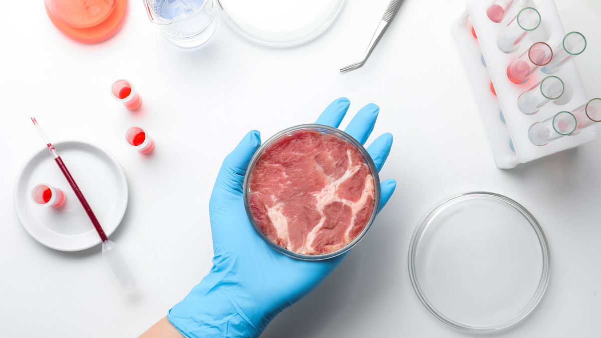 Estás cada vez más cerca de comer pollo cultivado: ¿qué es exactamente la carne sintética?