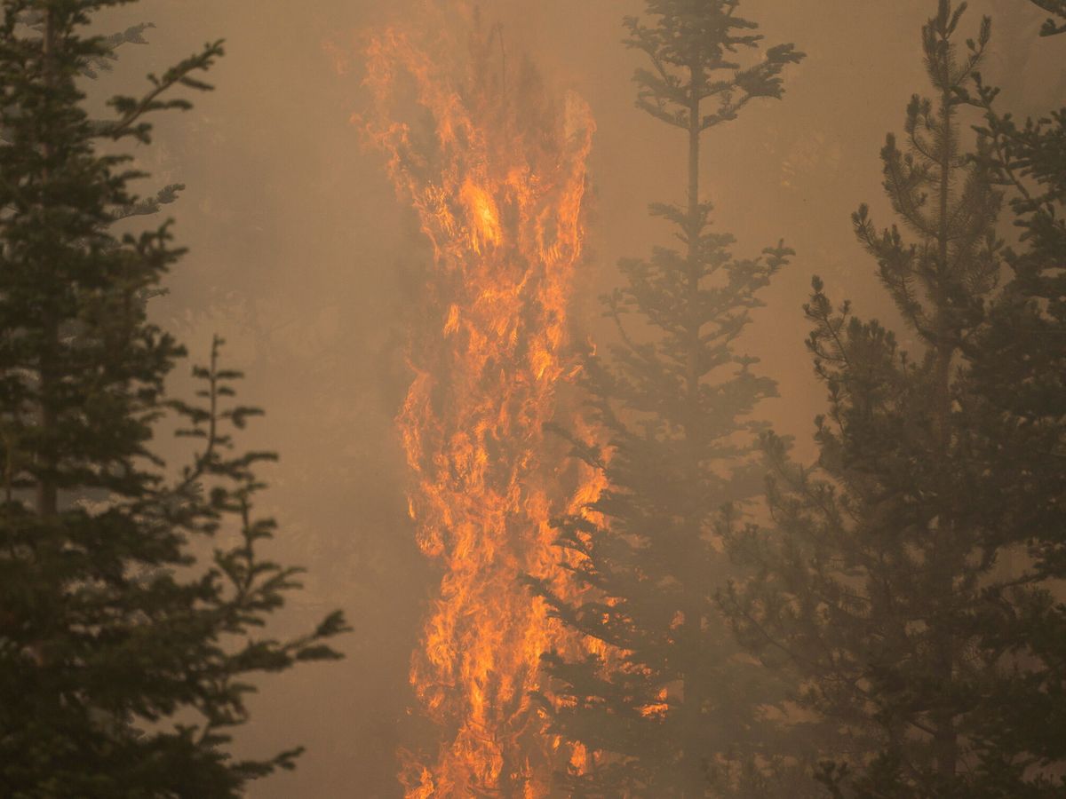 Foto: Imagen del fuego Bootleg (Reuters/David Ryder)