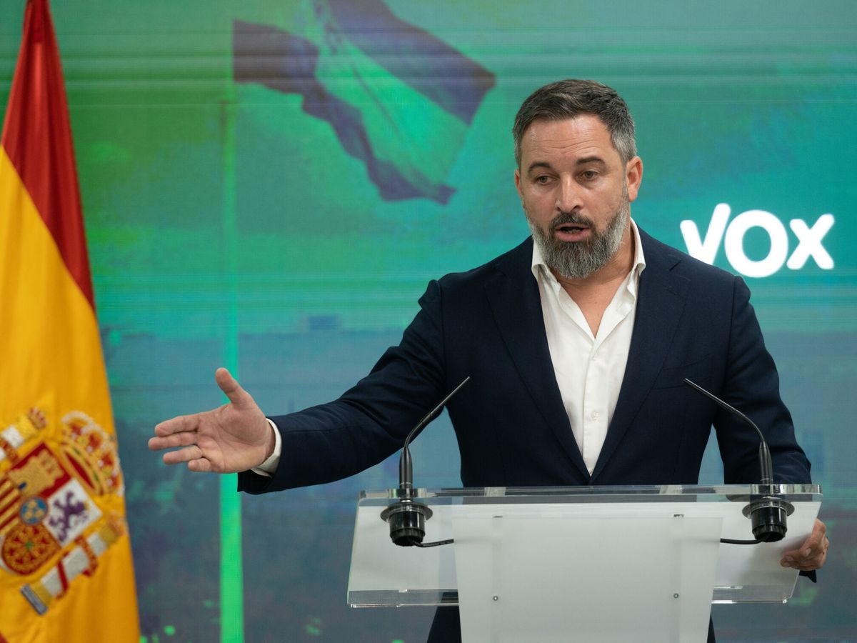 Foto: Santiago Abascal, en una rueda de prensa de Vox. (EFE/Fernando Villar)