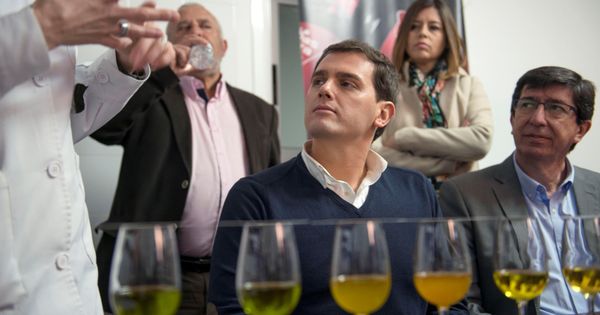 Foto: Albert Rivera junto al líder de Cs en Andalucía, Juan Marín, catando aceite de oliva virgen en una almazara de Jaén. (EFE)