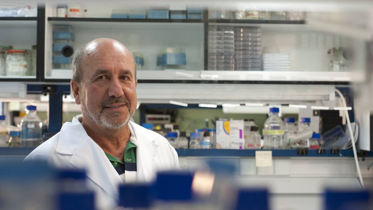 El virólogo tras una de las vacunas españolas más avanzadas: "No debemos tirar la toalla"