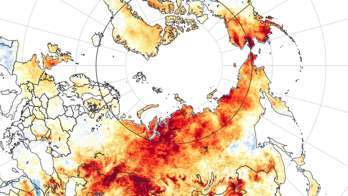 La ola de calor de Siberia preocupa (y mucho) a los científicos
