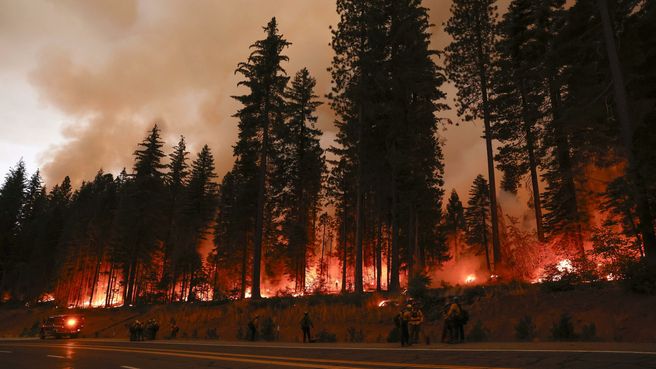 Foto de Incendio en un parque del norte de California