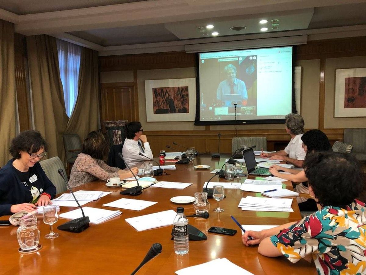 Foto: El ministro de Sanidad, Salvador Illa, encabeza la reunión bilateral de desescalada con el Gobierno de Canarias, este 6 de mayo. (Sanidad)