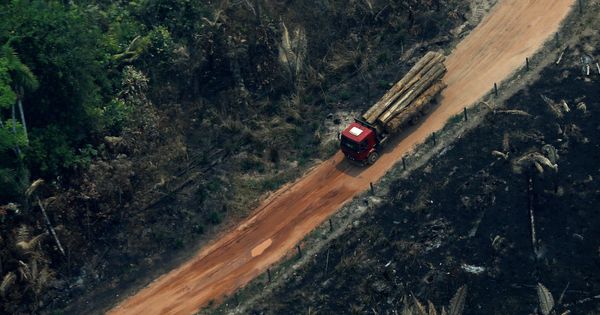 Foto: Camión cargado de troncos cortados en la zona de Boca do Acre en Amazonas, Brasil. (Reuters)