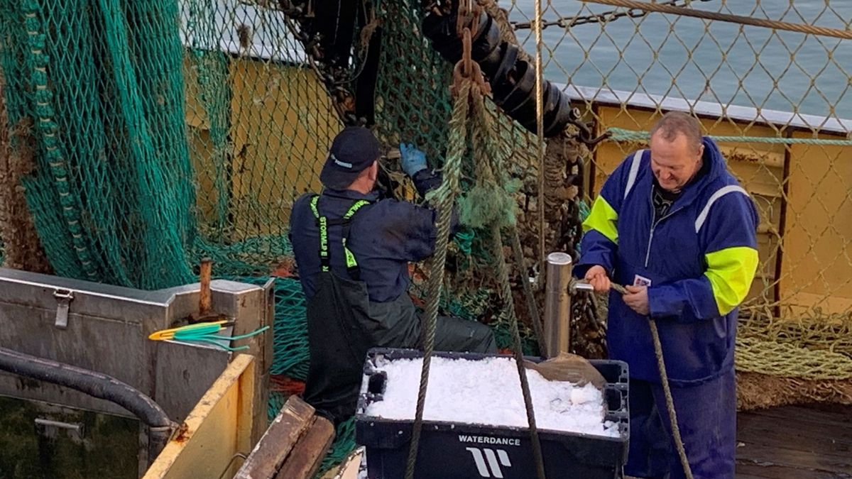 Francia amenaza con restringir el acceso al mercado único a UK por las licencias de pesca