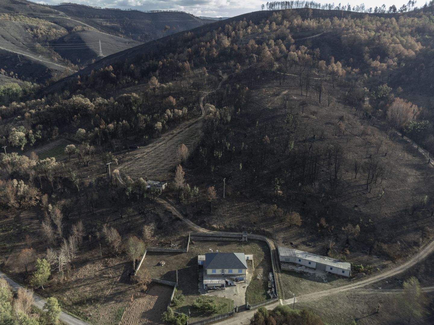 Cientos de hectáreas arrasadas por las llamas en Rubiá, Ourense. (EFE/Brais Lorenzo)