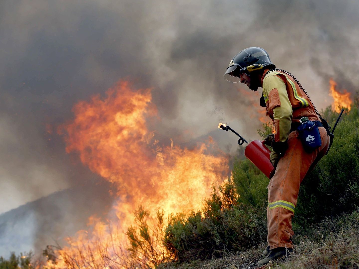 Los incendios forestales ponen en jaque a Galicia, Asturias y Portugal. (EFE)