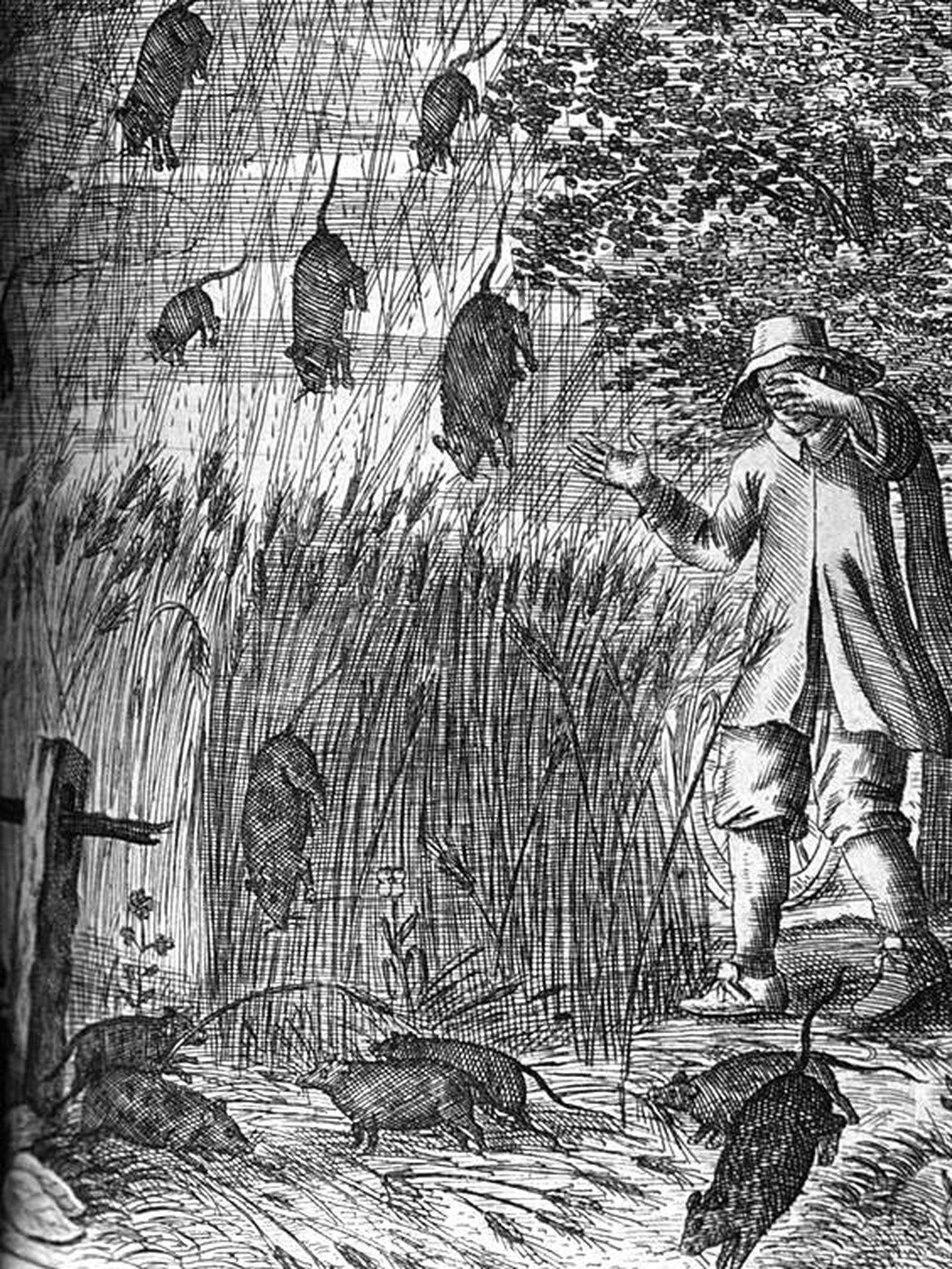 Llueven ratas durante una tormenta violenta en la ilustración 'El maravilloso viaje de nuestro Nider-Welt…', por Erasmus Francisci. (Colección del Servicio Meteorológico Nacional (NWS) de la NOAA.