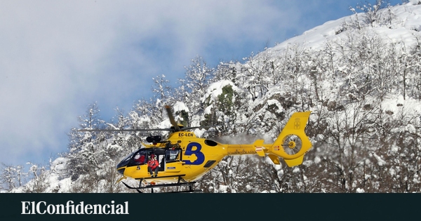 Herido un hombre tras ser embestido por una vaca en Candamo (Asturias) – El Confidencial