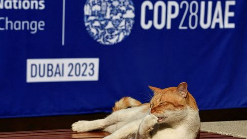 Lecciones tras la dura batalla de la cumbre del clima de Dubái (COP28)
