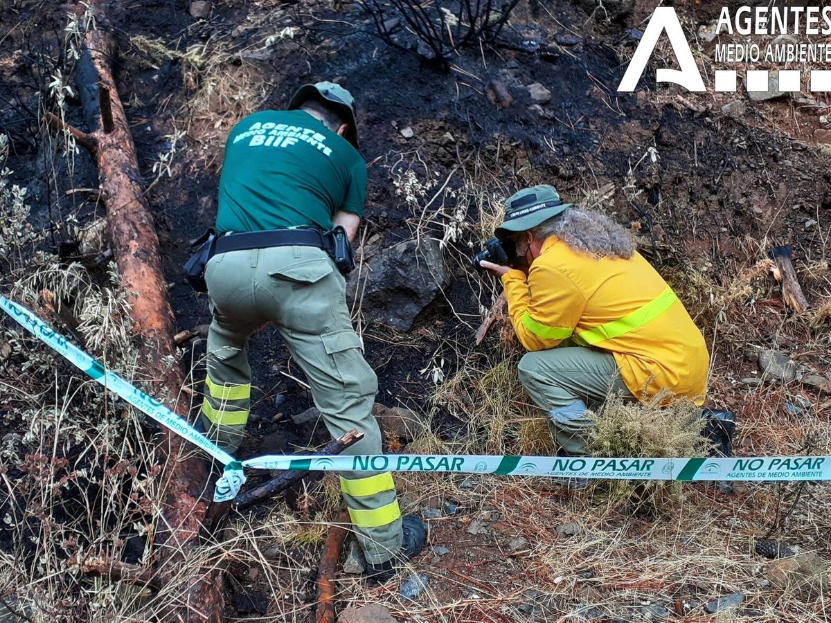 Foto: Efectivos de la BIIF investigan las "causas y motivaciones" del incendio. (Junta de Andalucía)