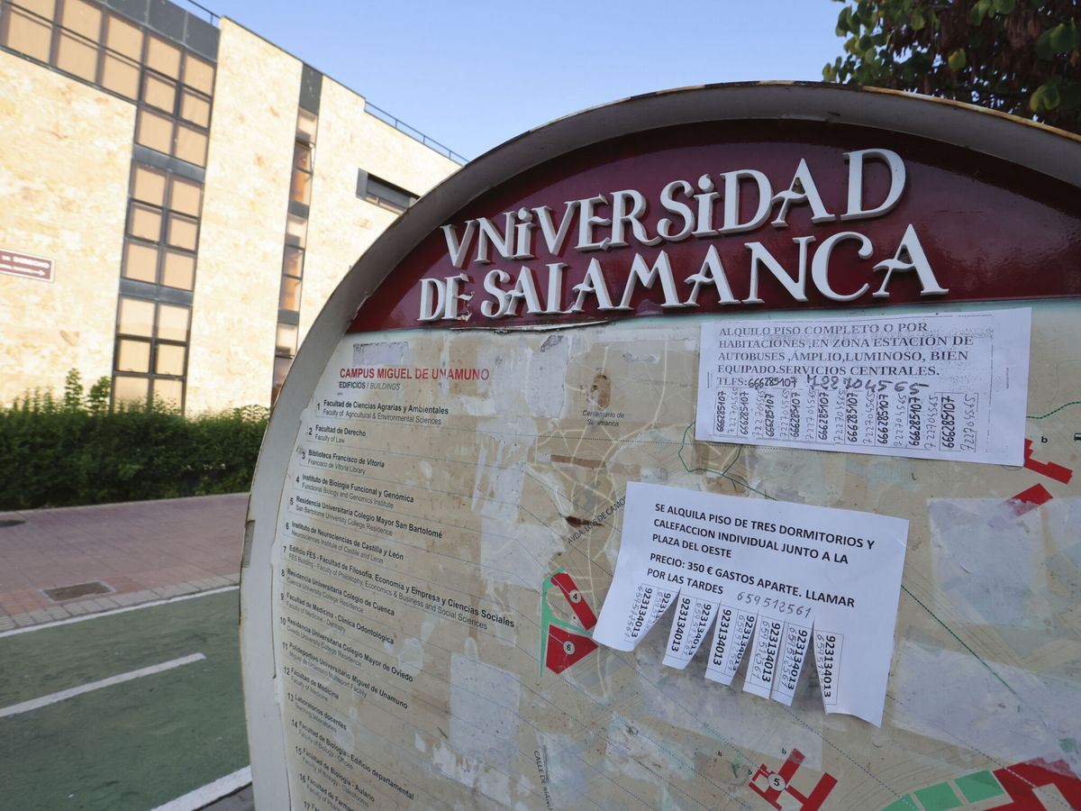 Foto: Campus Miguel de Unamuno de la Universidad de Salamanca. (EFE/J. M. García)