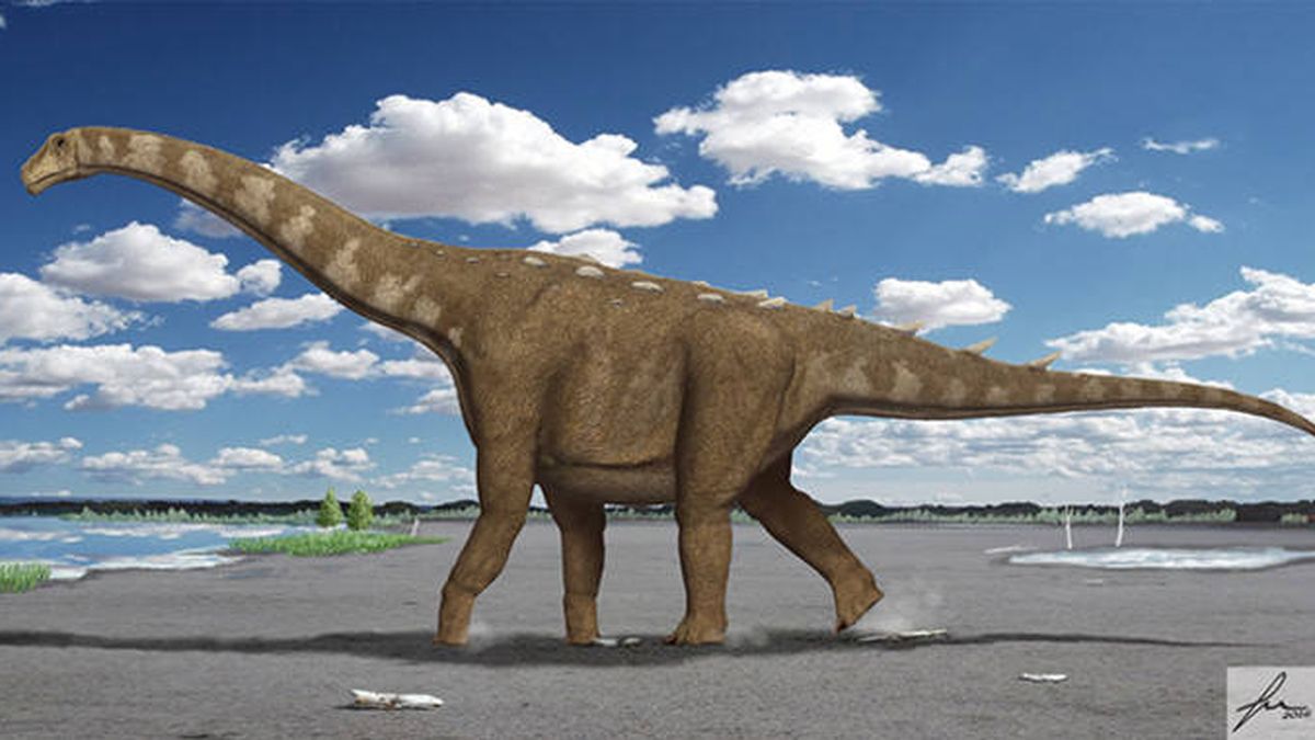 Descubren en Cuenca uno de los últimos dinosaurios gigantes de Europa