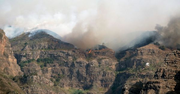 Foto: El fuego del incendio de Gran Canaria entra en el Parque Natural de Tamadaba. (EFE)